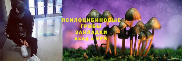 мяу мяу кристалл Алексеевка