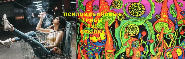 винт Алзамай
