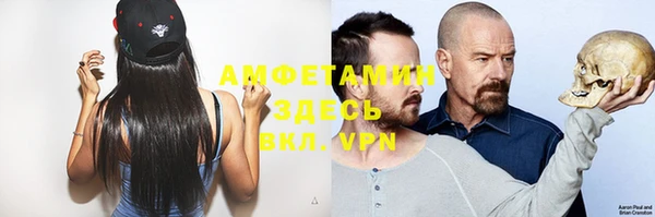 винт Алзамай