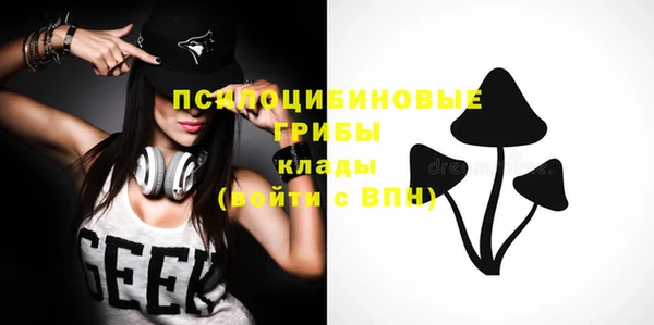 шишки Алексин