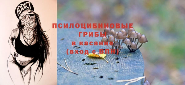 винт Алзамай